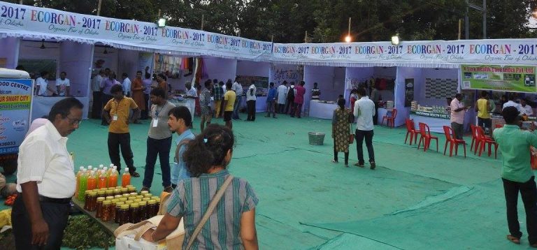 City embarks on organic way to safe food