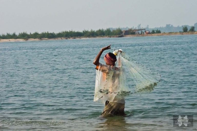 Govt to introduce new law prohibiting illegal fishing in Chilika Lake