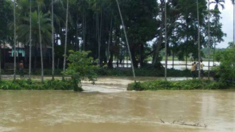 Flooded roads disrupt communication in Kalahandi, Nabarangpur, Malkangiri