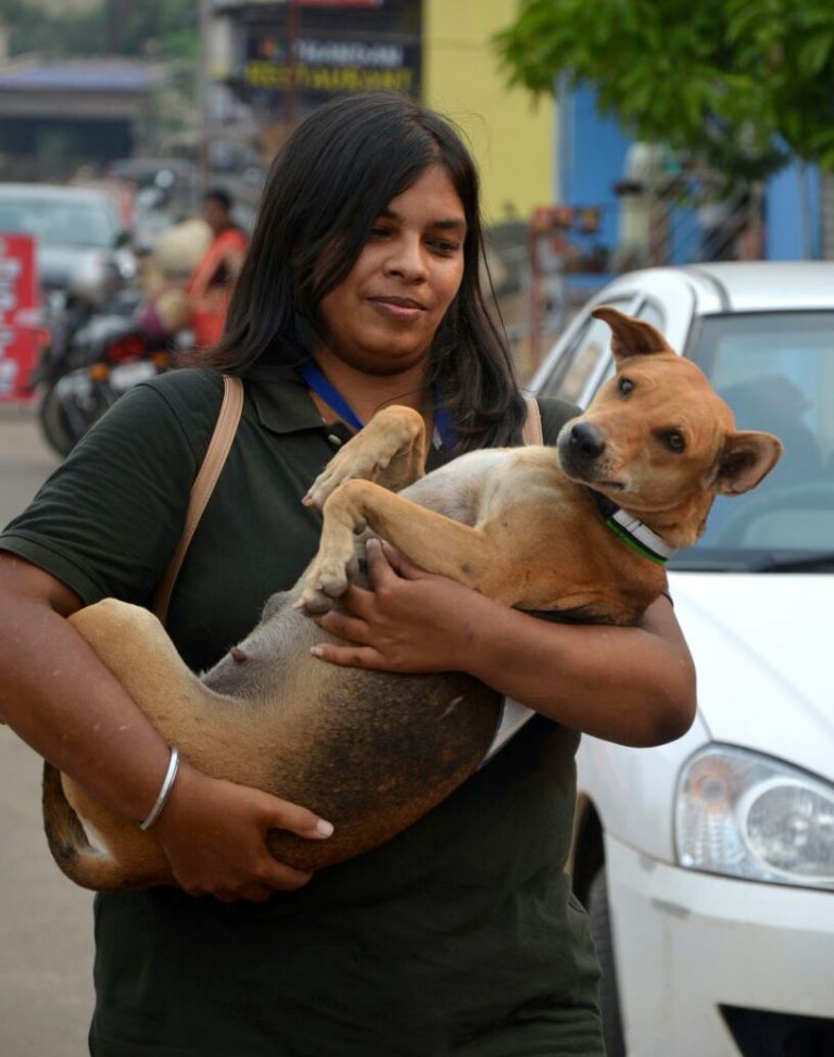 Bhubaneswar Veterinary Hospital To Function Round The Clock