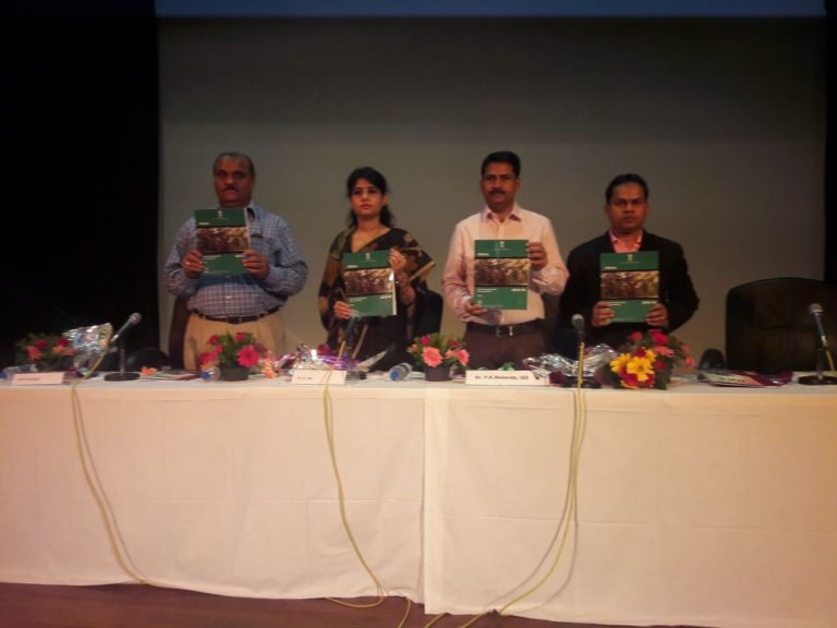 Smaller families becoming norm in Odisha: Survey