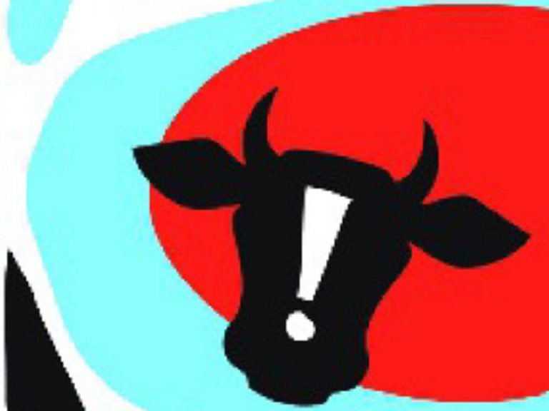 Beef seized from auto in Sambalpur, driver detained