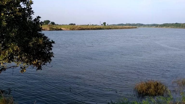 Brahmani_river