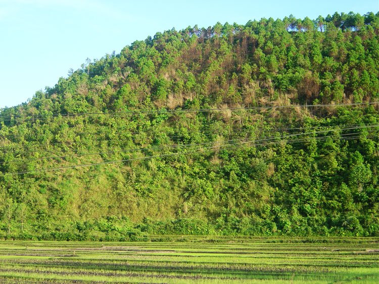 Photograph: Anil Dhir