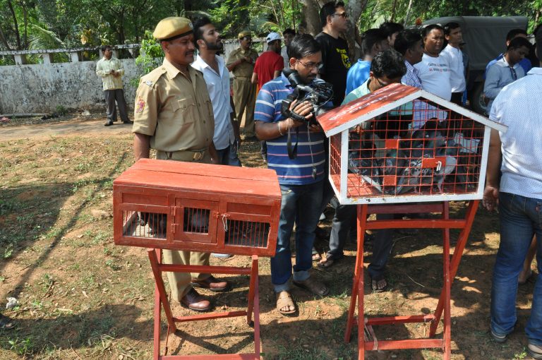 A Flight Back In Time As Pigeons Carry Missive On Heritage Conservation