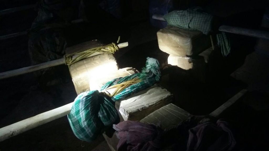 ganja seized in malkangiri