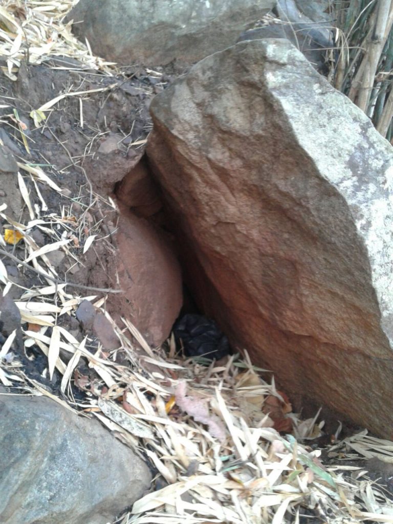 BSF personnel conducts anti-Maoist operation in Malkangiri forest, recovers arms & explosives