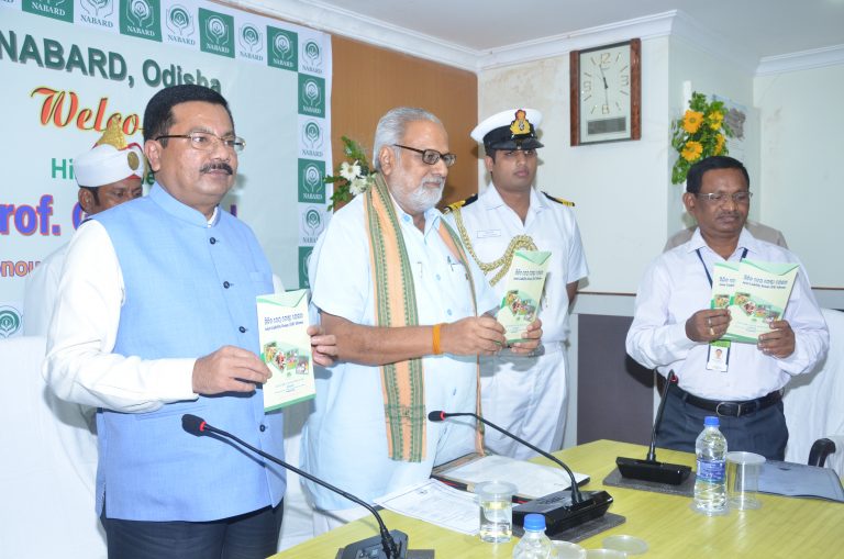 NABARD Mango Festival Begins In City