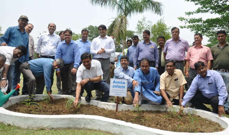 Tata Steel Celebrates World Environment Day