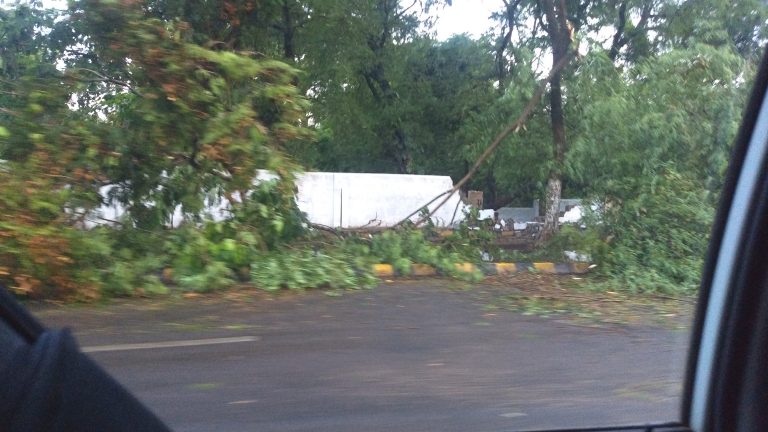 10 Injured During Nor’wester In Odisha Capital