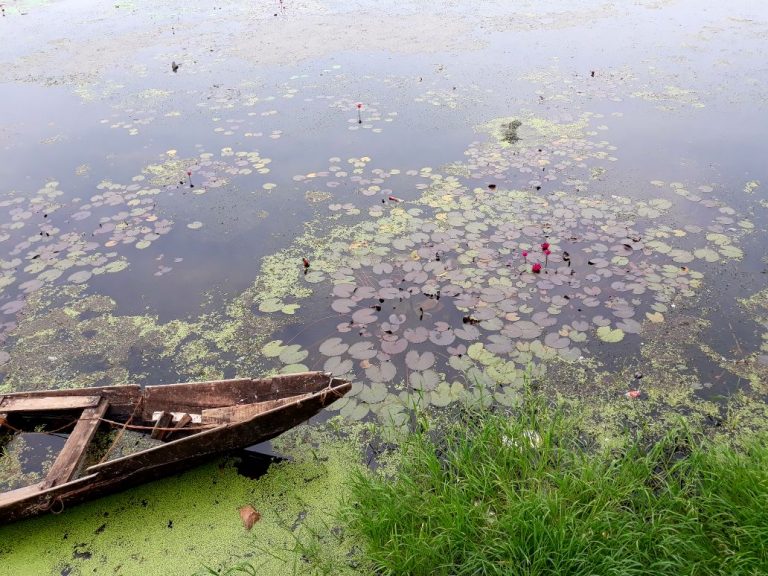 Exploring The Magical Wonder Of The City Of Temples