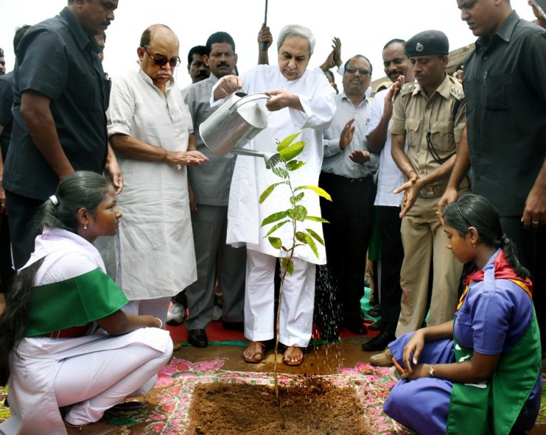 Go Green: Odisha To Plant 40 Lakh Saplings On July 7