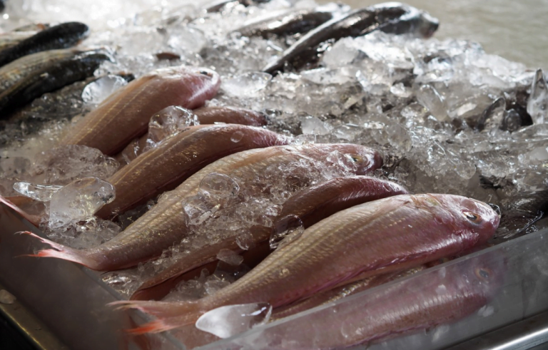 Formalin In Fish: Samples Collected From Markets, Outlets In Puri, Rayagada