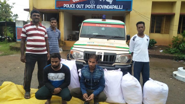 1.23 Quintal Ganja Seized From Fake Ambulance In Malkangiri, Two Held