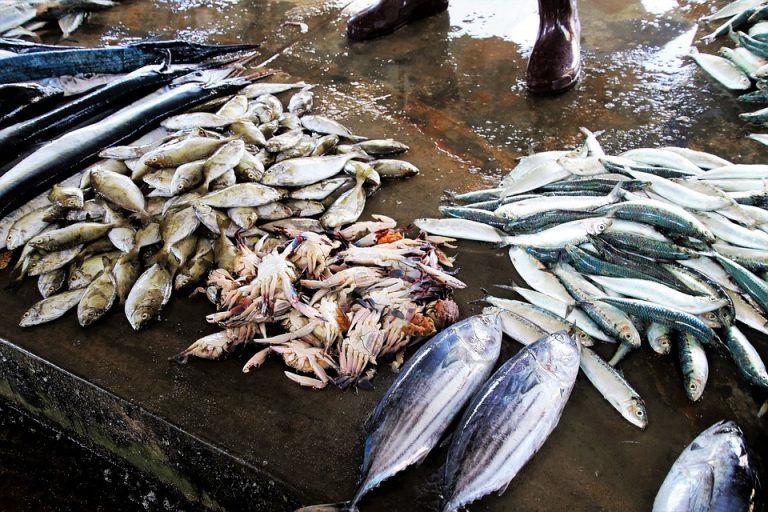 Formalin In Fish: Samples Collected From Sambalpur, Balangir Markets