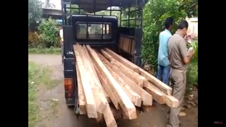 Huge Quantity Of Siris Wood Seized, Two Arrested In Kalahandi
