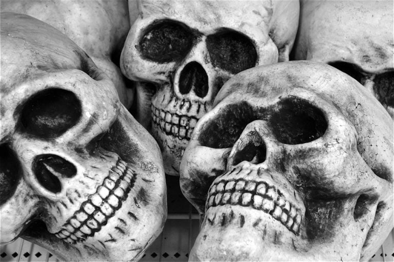Nine Human Skulls Recovered From A Sack In Puri