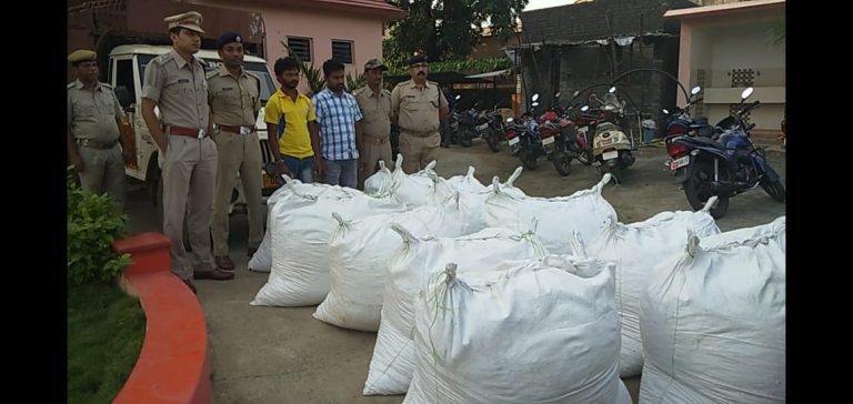 660 Kg Ganja Seized, 2 Arrested In Malkangiri