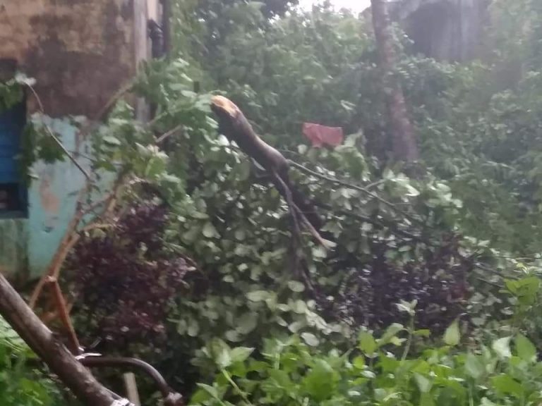 Cyclone Titli Disrupts Road Communication In Gajapati