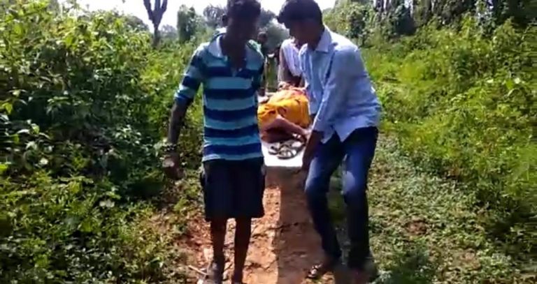 Poor Roads: Pregnant Woman Carried On Stretcher To Hospital In Malkangiri