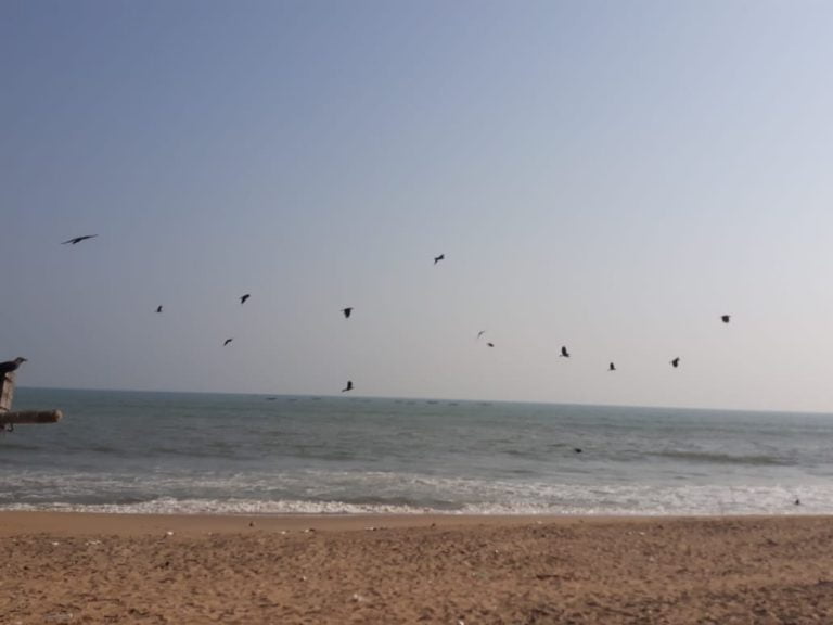 Devotees Take Holy Dip At Chandrabhaga On Magha Saptami