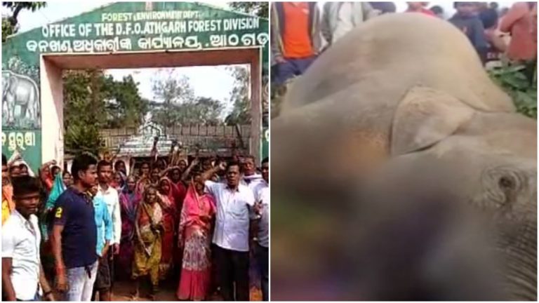 Second Arrest In Athagarh Jumbo Death