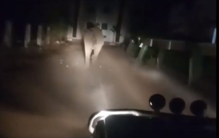 Elephant Chased In CDA Cuttack