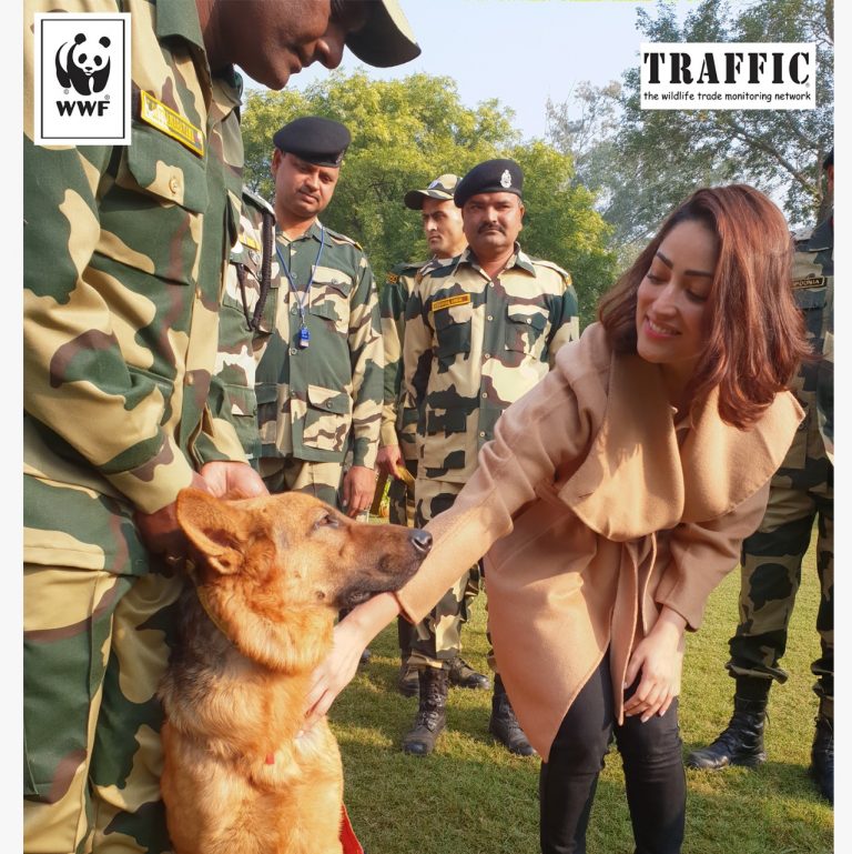 Yami Gautam Takes Up Cudgels Against Illegal Wildlife Trade
