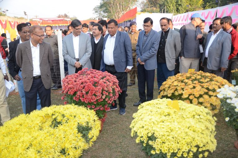 Horticulture Show In Rourkela