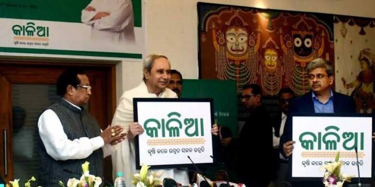 Helpline For KALIA Scheme Started