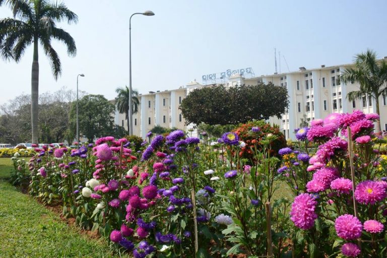 Odisha Cabinet Clears Free Sanitary Pad Scheme For Schoolgirls