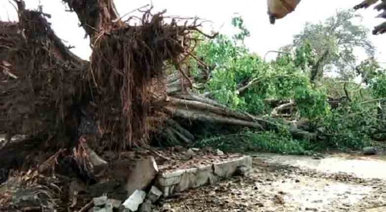 Nor’wester Fury: Mother-Daughter Duo Dies After Tree Falls On House In Nuapada