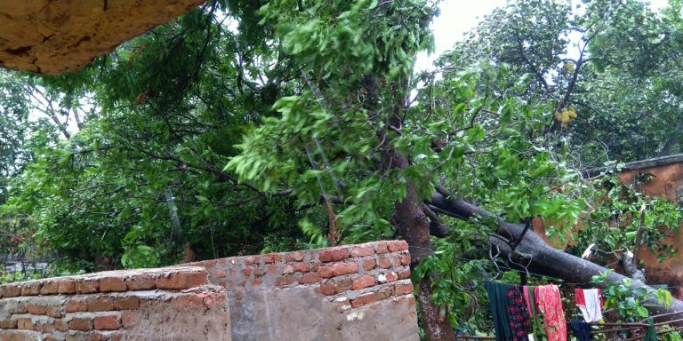 Bhubaneswar Wind Speed Touches 100 Kmph, Might Increase Further