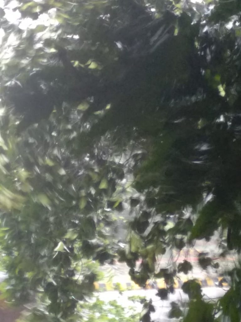 Railways Stop 6 Puri-Bound Trains Midway For Passengers Safety