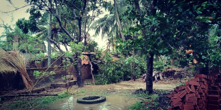 Cyclone Fani: Has Bhubaneswar Lost Its Green Cover?