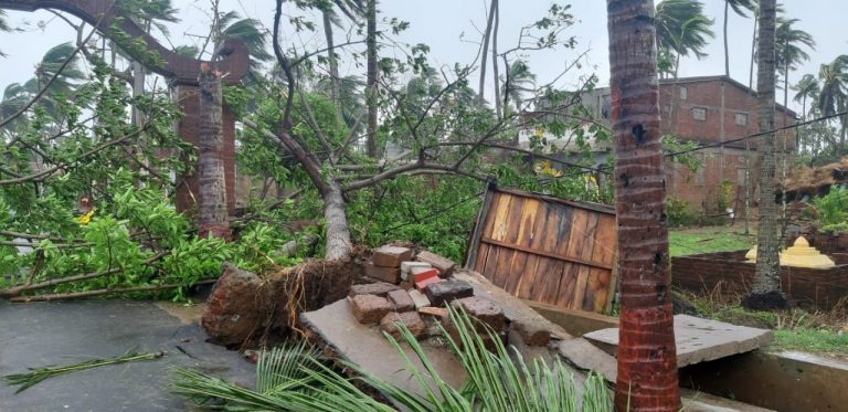 Cyclone Fani: Heritage Village Raghurajpur Bears The Brunt