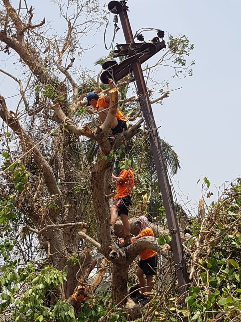 Nature’s Rule Of Law – Aftermath Of Fani