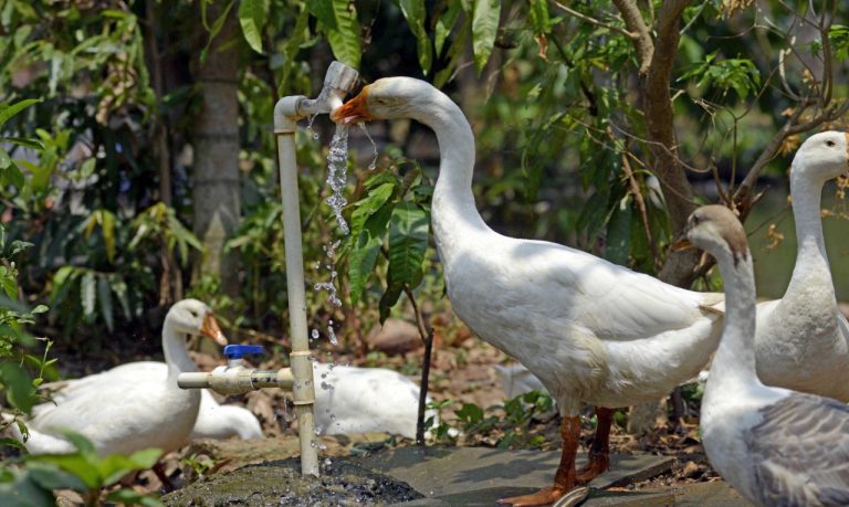 Odisha, Expect A Slight Drop In Temp For 2 Days
