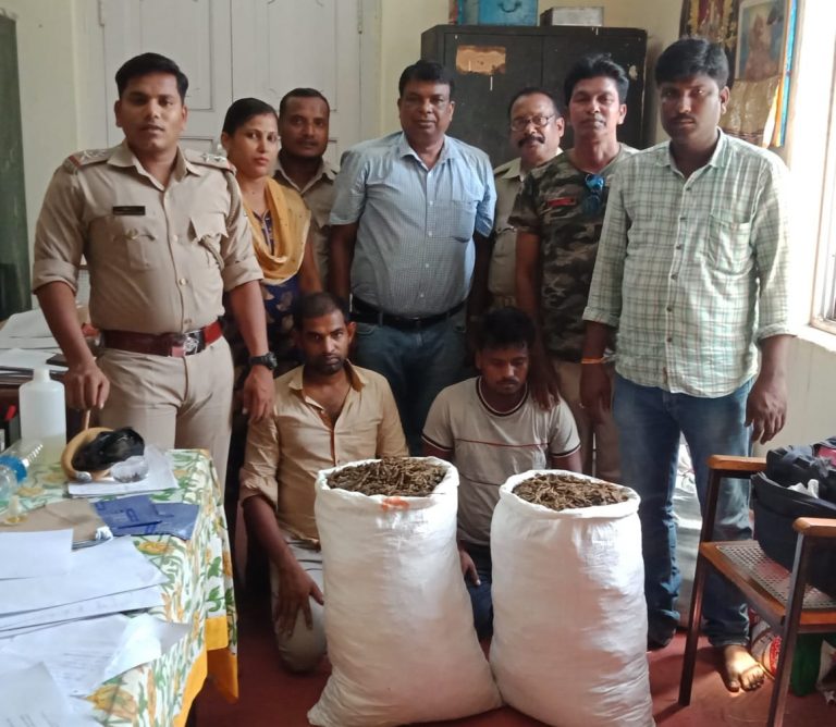 36Kg Ganja Seized, Two Arrested In Cuttack