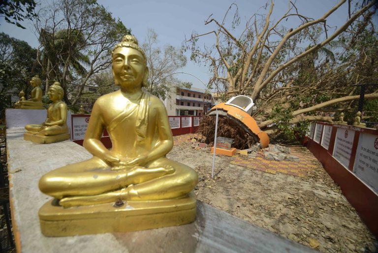 Bhubaneswar Loses Its Precious Bodhi Tree