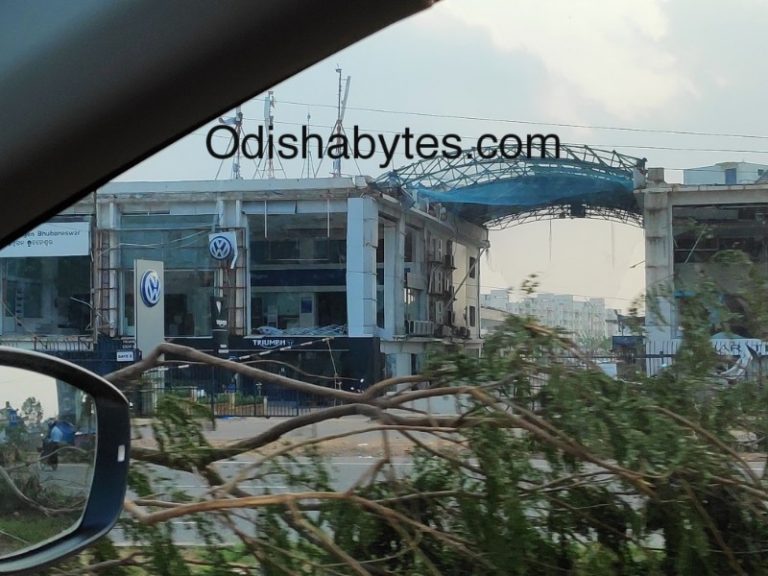 Cyclone Fani: Around 10 Lakh Trees Uprooted In Bhubaneswar