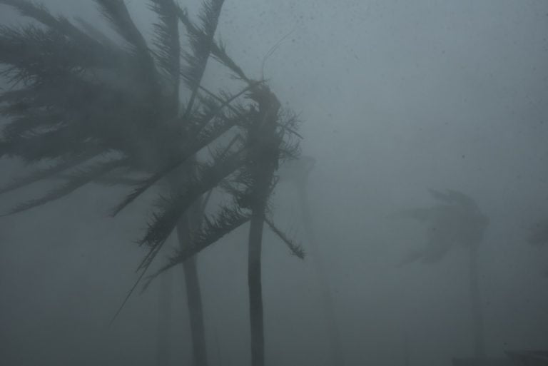 Cyclone Nivar: Odisha On Alert As IMD Predicts Rain Till Nov 28