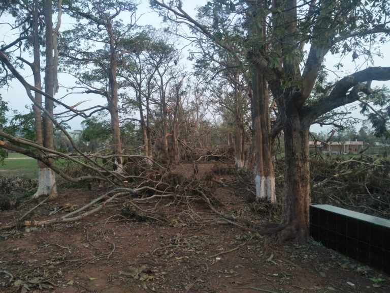 Fani Damages Stadiums In ‘Sports Capital’