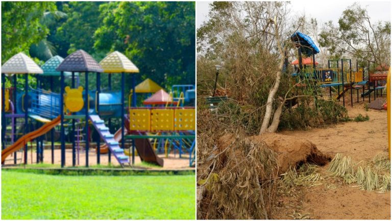 10 Fani-Battered Parks Reopen In Odisha Capital