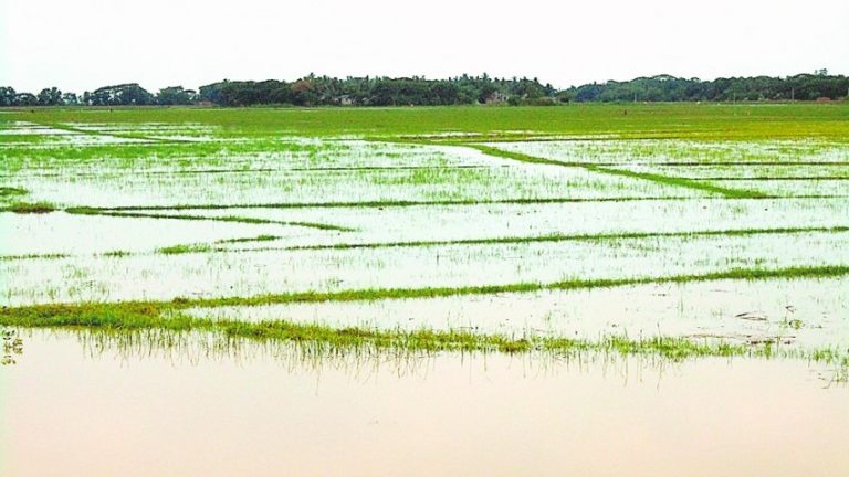 14 Lakh Hectares Of Farm Land Gets Flooded In This State: Know More
