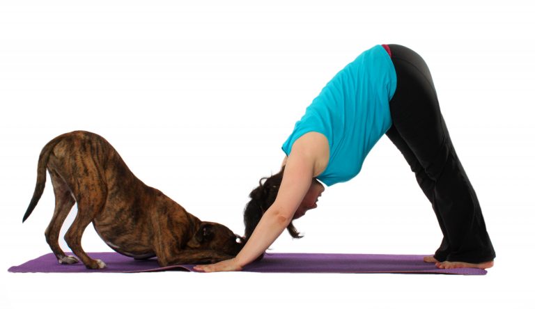 Know The 7 Whacky & Bizarre Variants Of Yoga