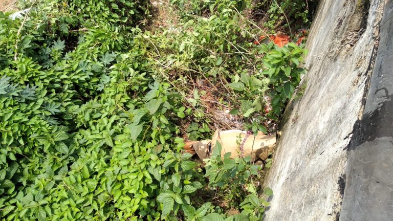 Murdered Man’s Body Found Inside Box On Bhubaneswar Farm Premises