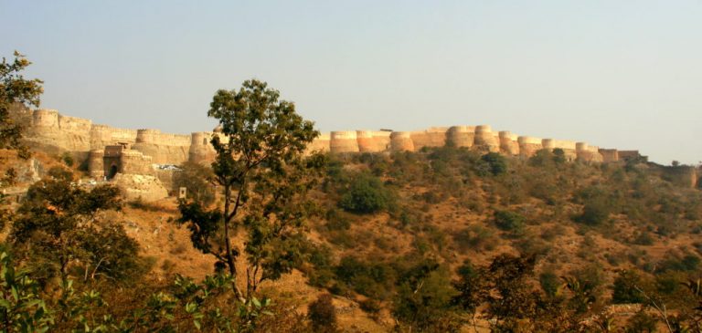 Study Reveals How Climate Shaped Indian History Through Vegetation Changes