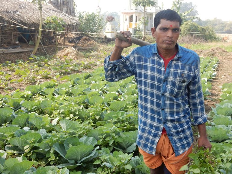 Bargarh Farmer Reaps Harvest From Mobile Advisory