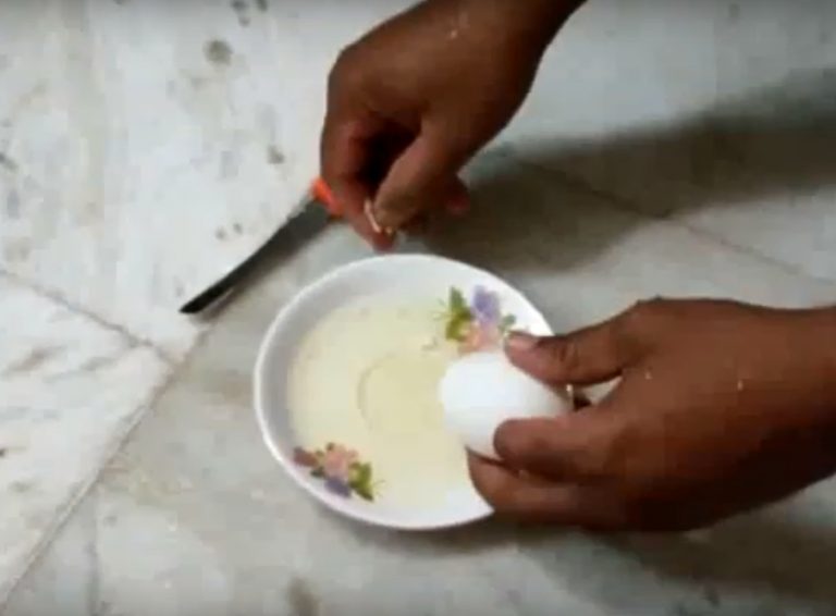 plastic egg koraput
